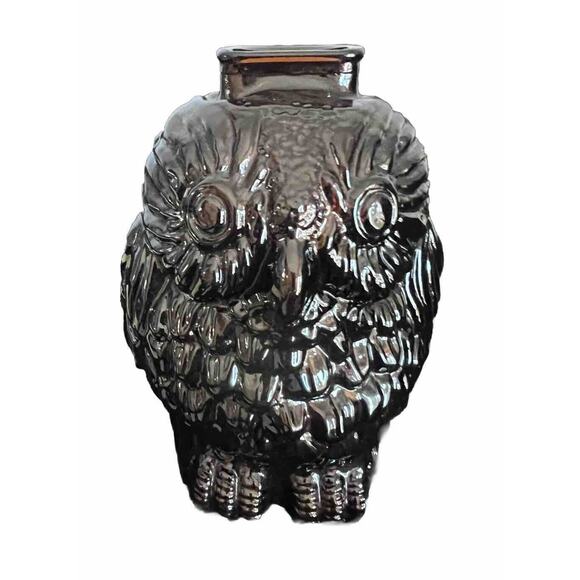Amber Glass Wise Old Owl Glass Piggy Bank 7”tall Vintage Coin A8 - Picture 1 of 7